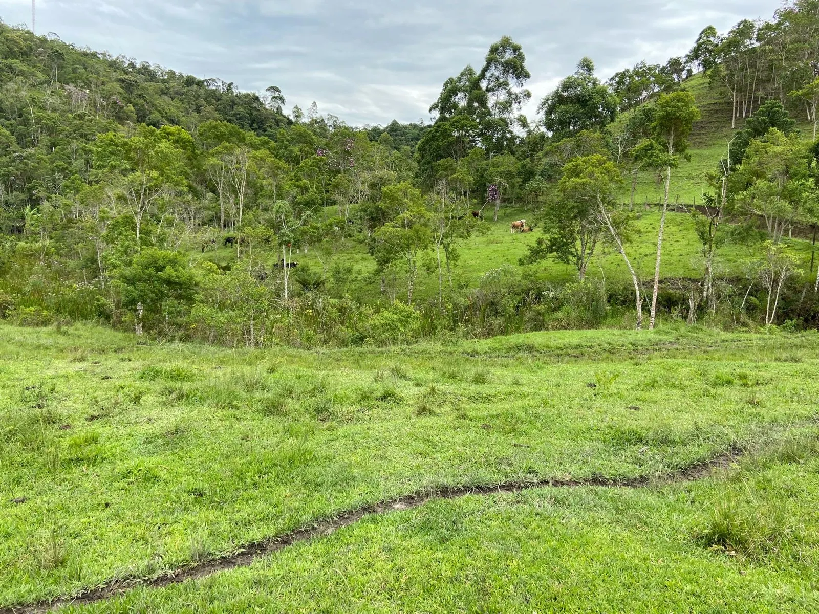 Small farm for sale of 96 acres in São Luiz do Paraitinga, SP, Brazil