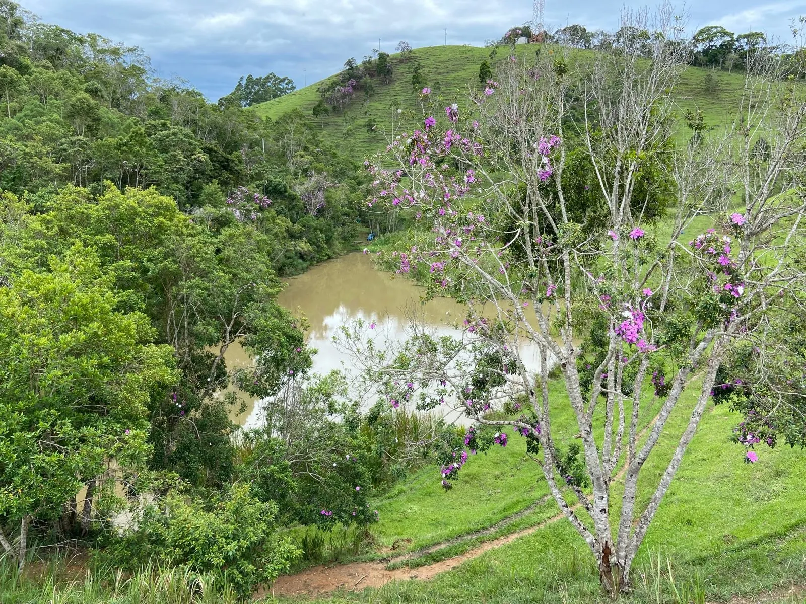 Small farm for sale of 96 acres in São Luiz do Paraitinga, SP, Brazil