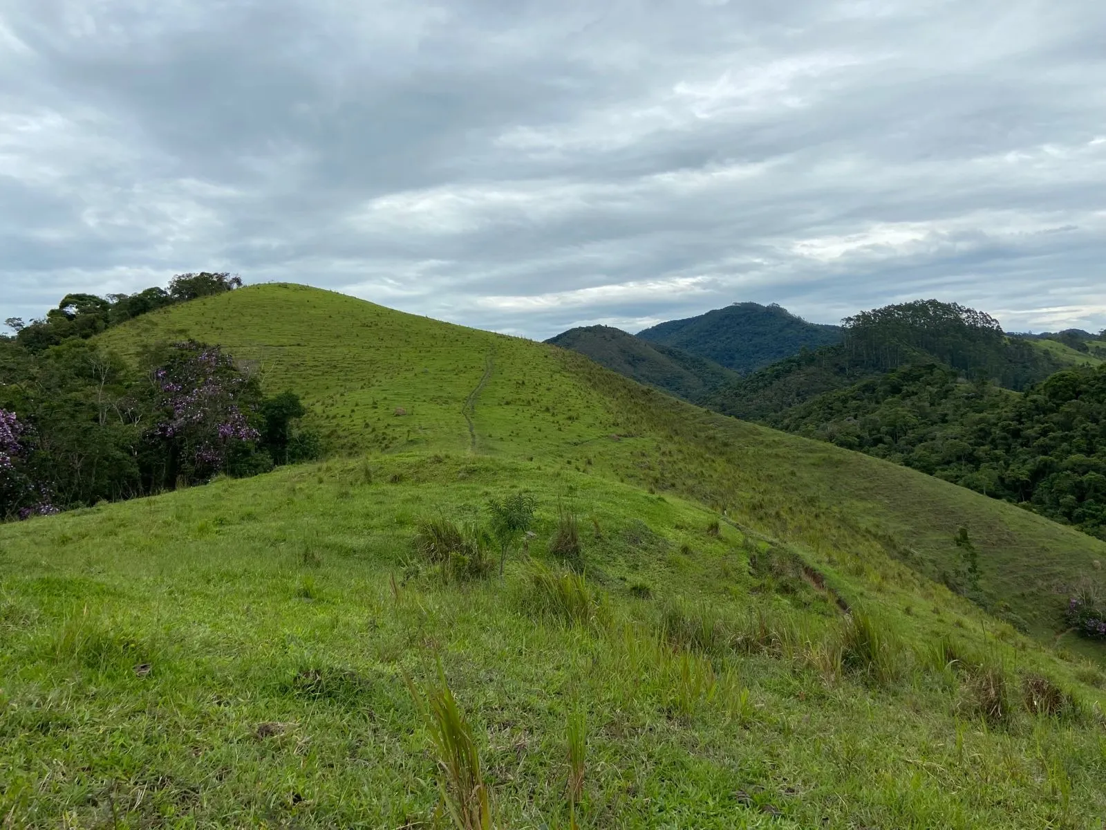 Small farm for sale of 96 acres in São Luiz do Paraitinga, SP, Brazil