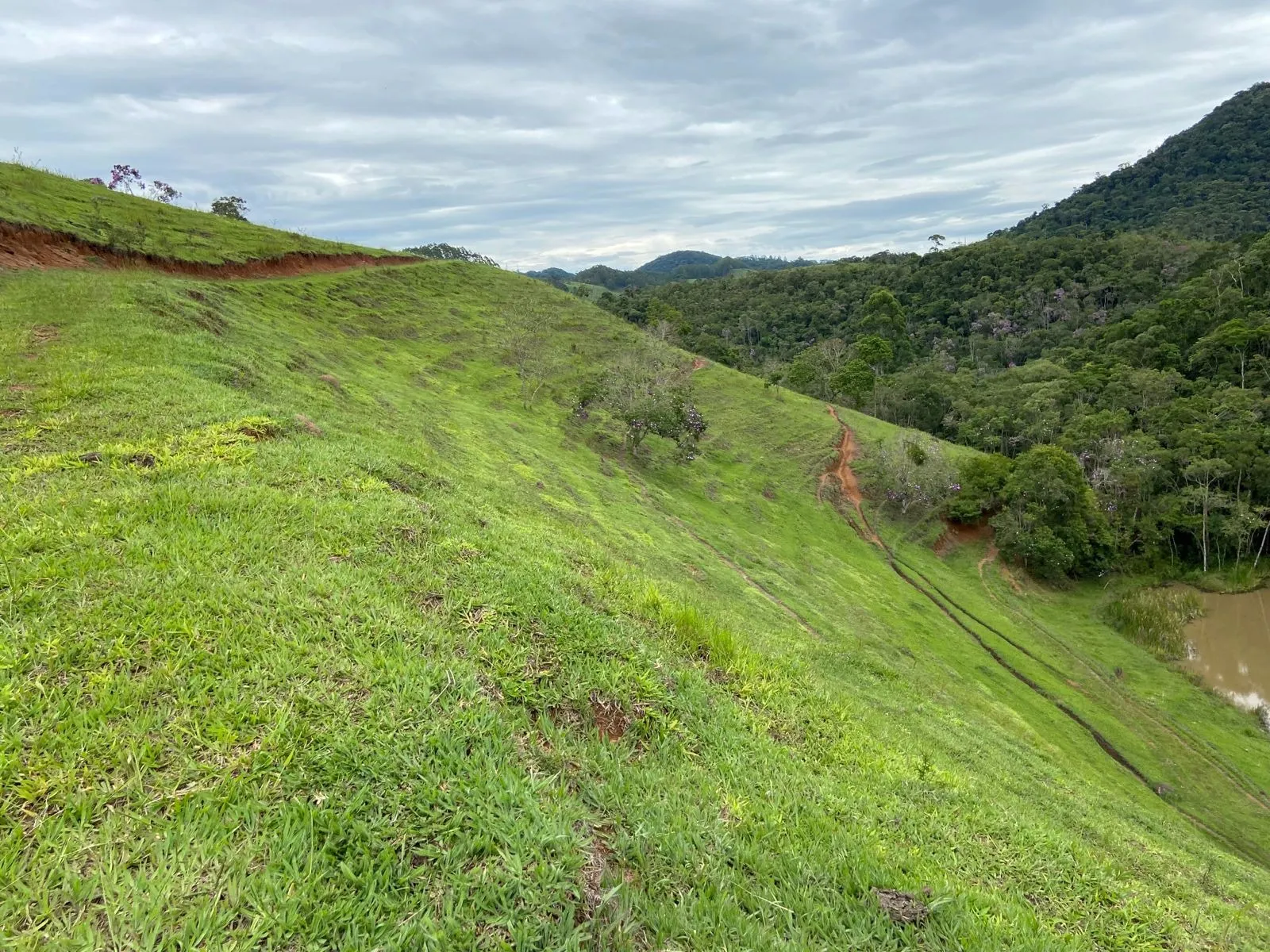 Small farm for sale of 96 acres in São Luiz do Paraitinga, SP, Brazil