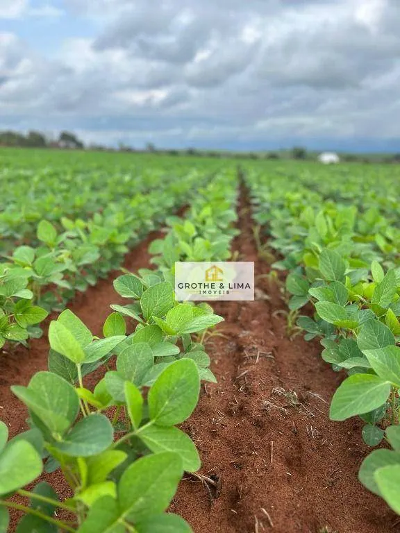 Fazenda à venda de 1.283 ha em Araguaína, TO, Brasil