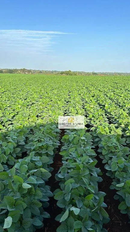 Fazenda à venda de 1.283 ha em Araguaína, TO, Brasil