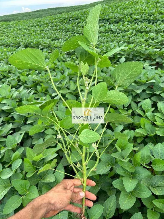 Fazenda à venda de 1.283 ha em Araguaína, TO, Brasil