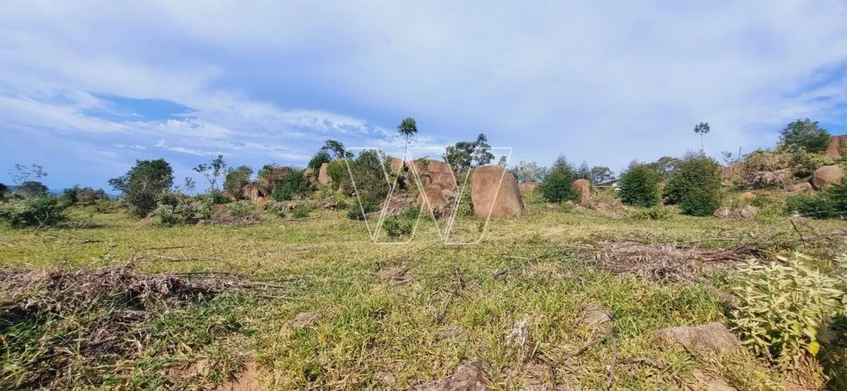 Small farm for sale of 21 acres in Campinas, SP, Brazil
