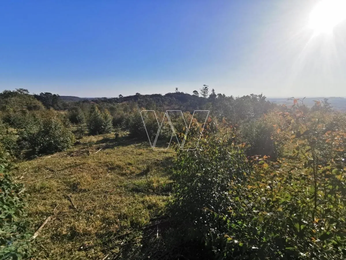 Small farm for sale of 21 acres in Campinas, SP, Brazil