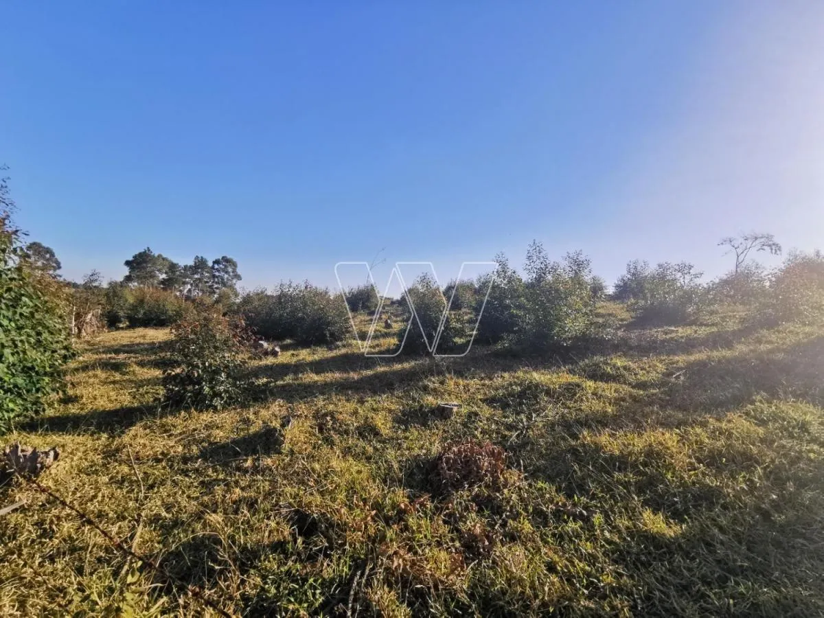Small farm for sale of 21 acres in Campinas, SP, Brazil
