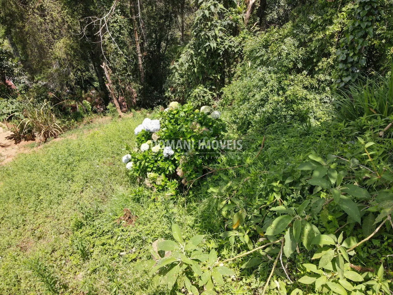 Terreno à venda de 450 m² em Campos do Jordão, SP, Brasil