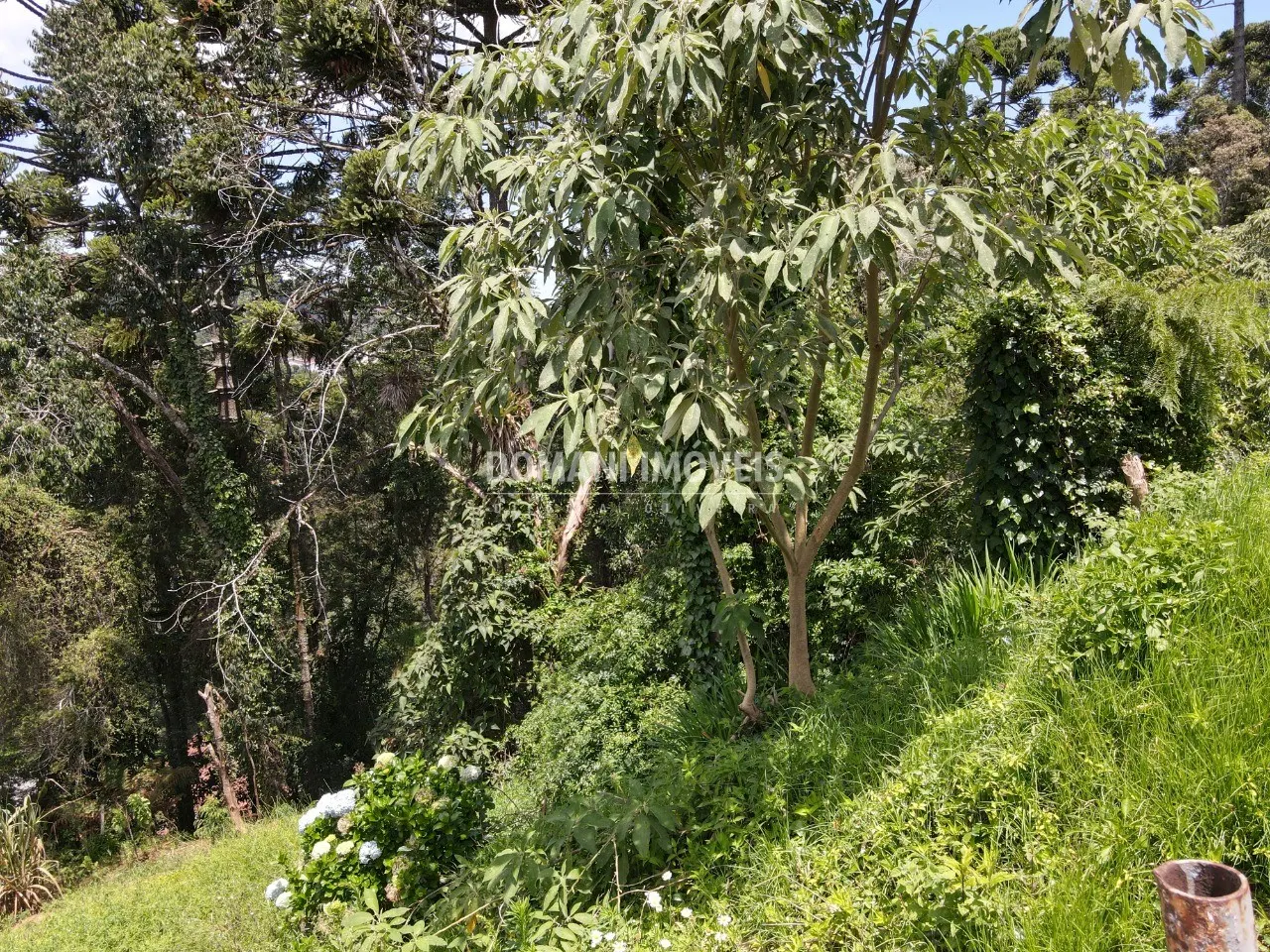 Terreno à venda de 450 m² em Campos do Jordão, SP, Brasil