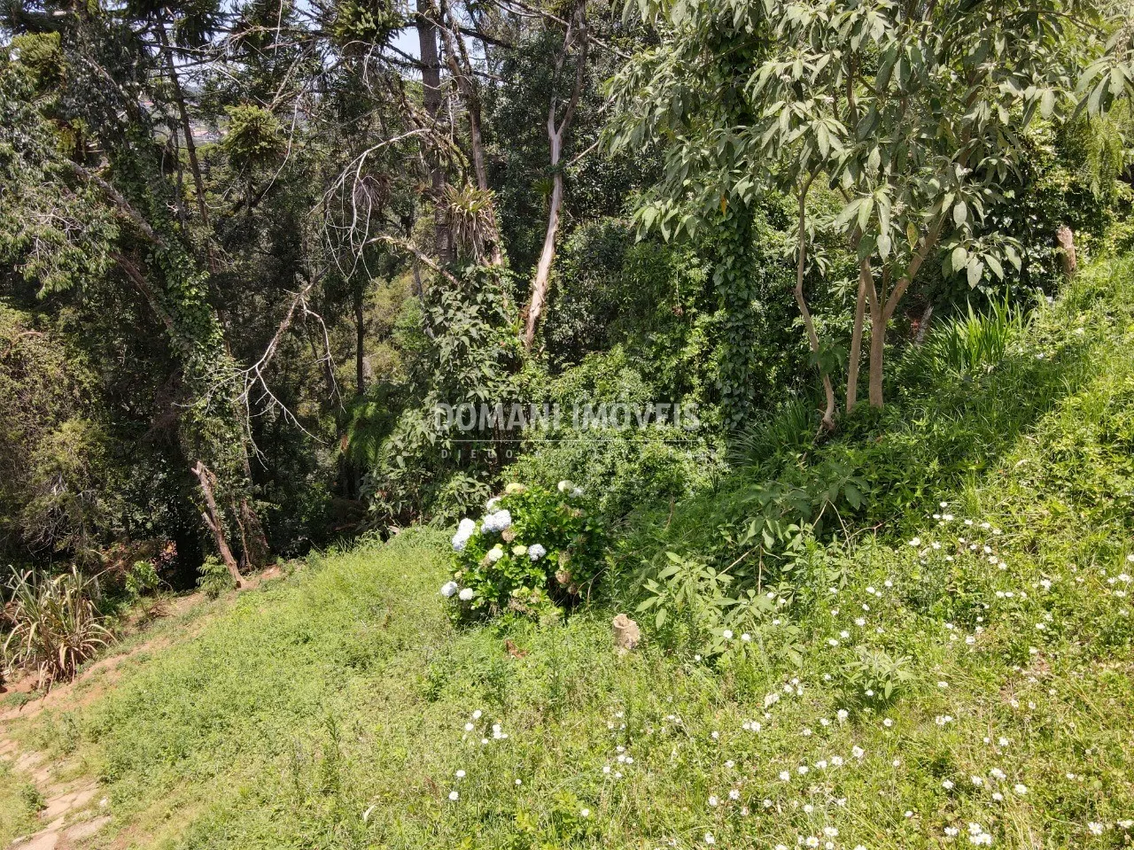 Terreno à venda de 450 m² em Campos do Jordão, SP, Brasil