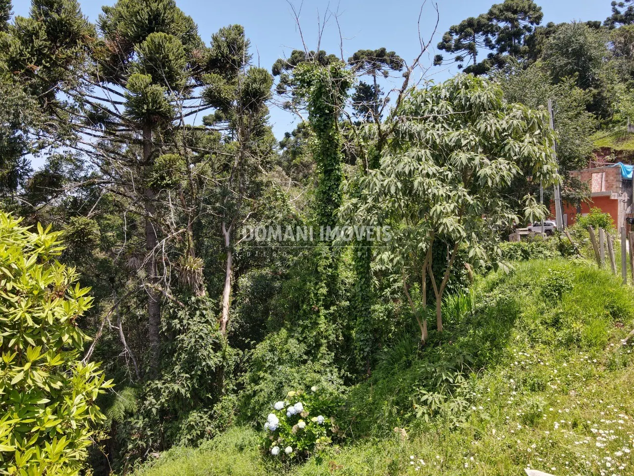 Terreno à venda de 450 m² em Campos do Jordão, SP, Brasil