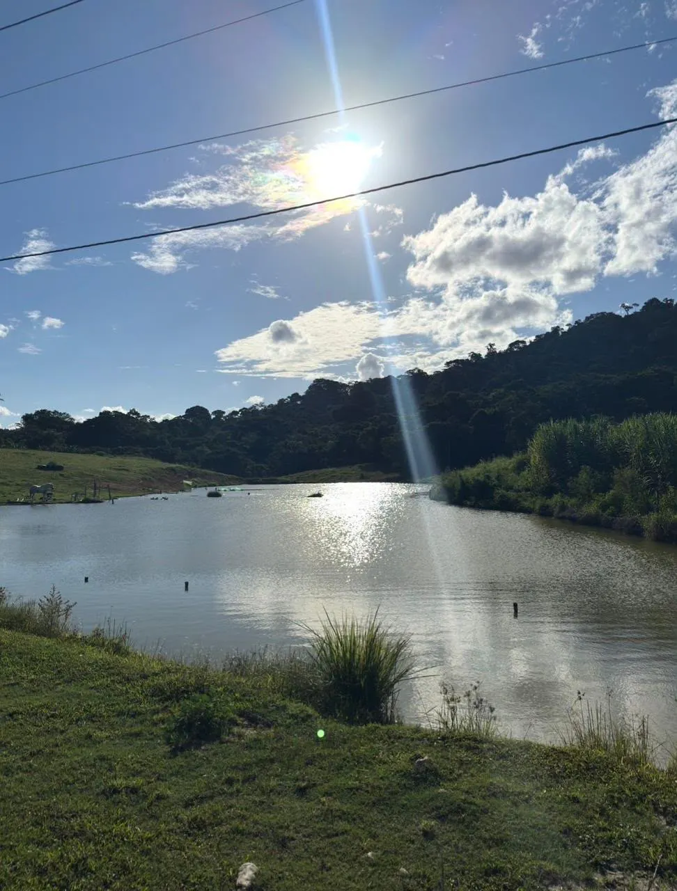 Fazenda à venda de 238 ha em Ubatã, BA, Brasil