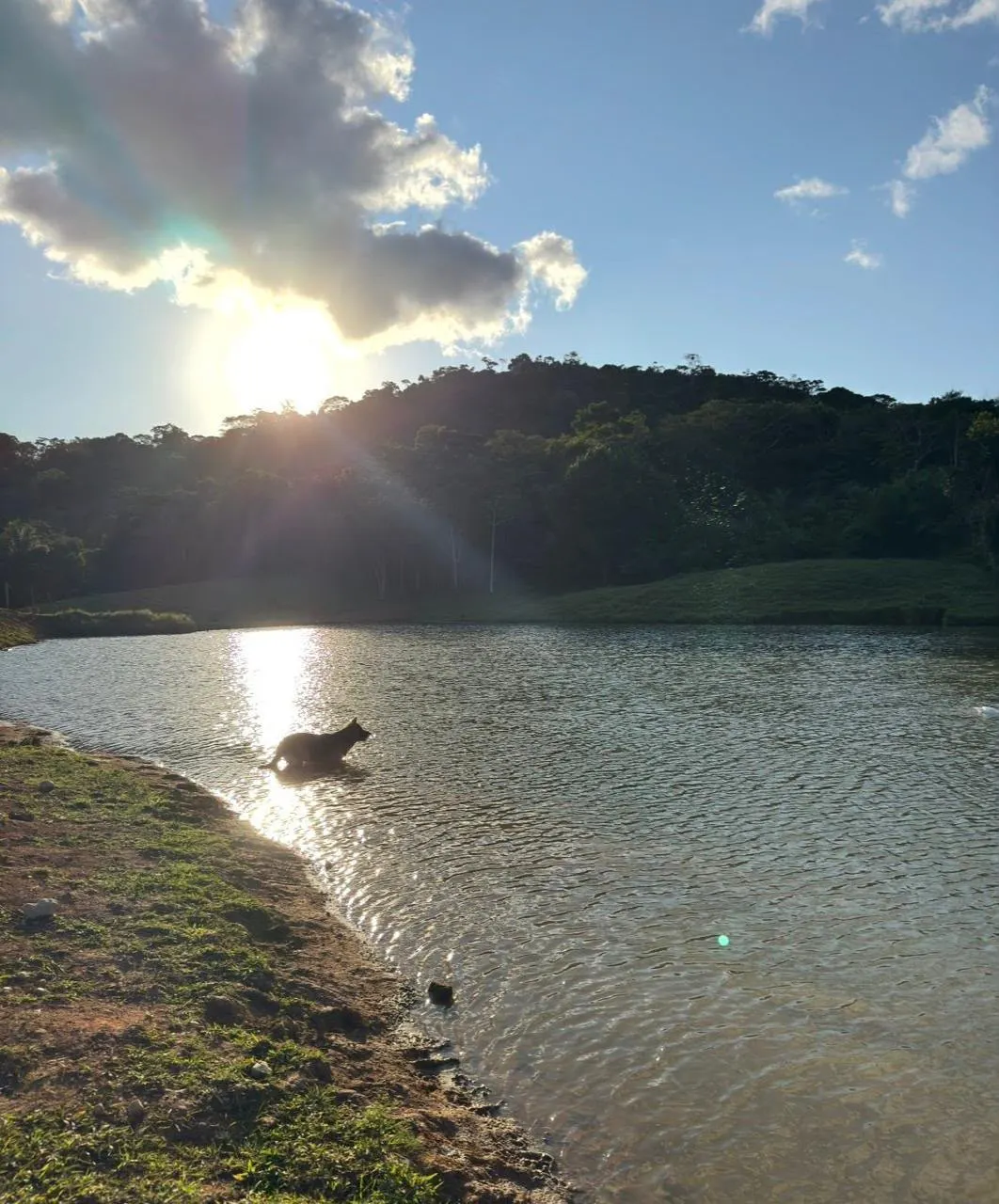 Fazenda à venda de 238 ha em Ubatã, BA, Brasil