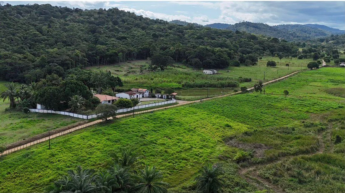 Fazenda à venda de 238 ha em Ubatã, BA, Brasil