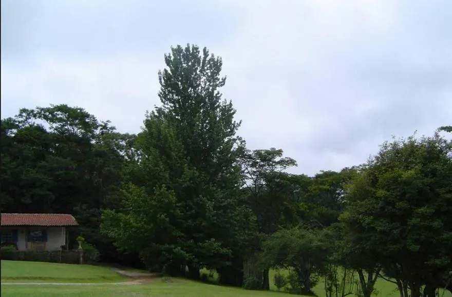 Chácara à venda de 300 m² em São Roque, SP, Brasil