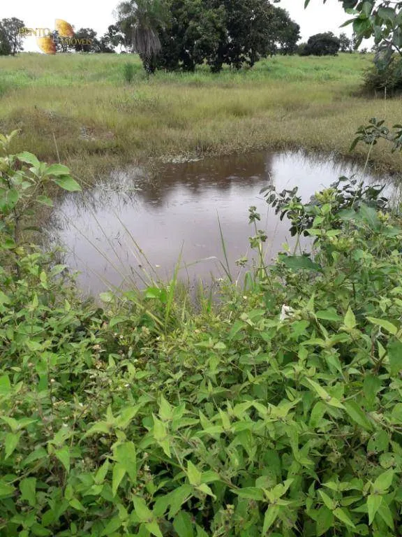 Farm for sale of 1,273 acres in Nossa Senhora do Livramento, MT, Brazil
