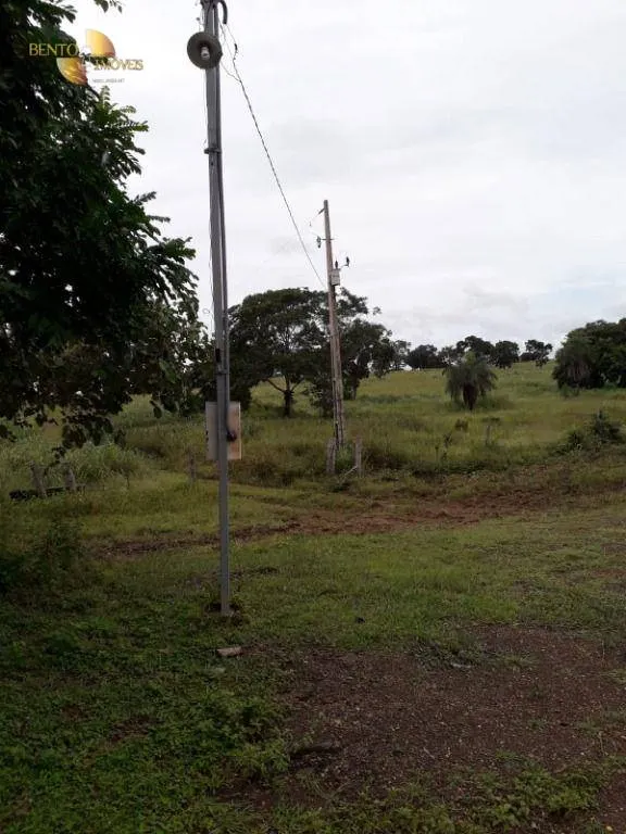Farm for sale of 1,273 acres in Nossa Senhora do Livramento, MT, Brazil