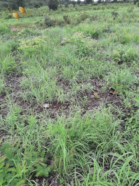 Farm for sale of 1,273 acres in Nossa Senhora do Livramento, MT, Brazil