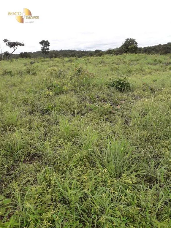 Farm for sale of 1,273 acres in Nossa Senhora do Livramento, MT, Brazil