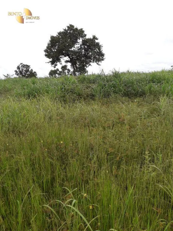 Farm for sale of 1,273 acres in Nossa Senhora do Livramento, MT, Brazil