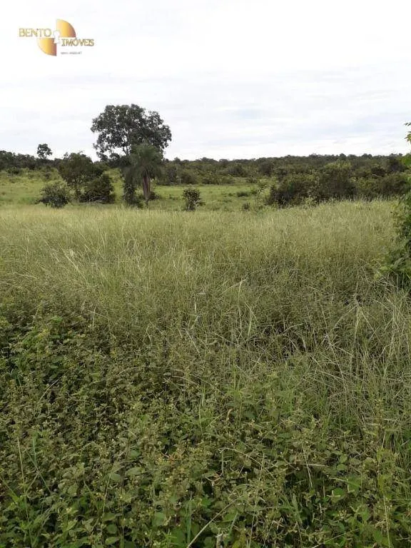 Farm for sale of 1,273 acres in Nossa Senhora do Livramento, MT, Brazil