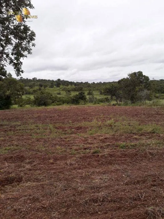 Farm for sale of 1,273 acres in Nossa Senhora do Livramento, MT, Brazil