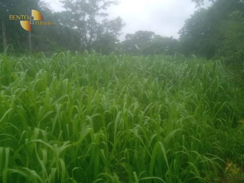 Farm for sale of 1,273 acres in Nossa Senhora do Livramento, MT, Brazil