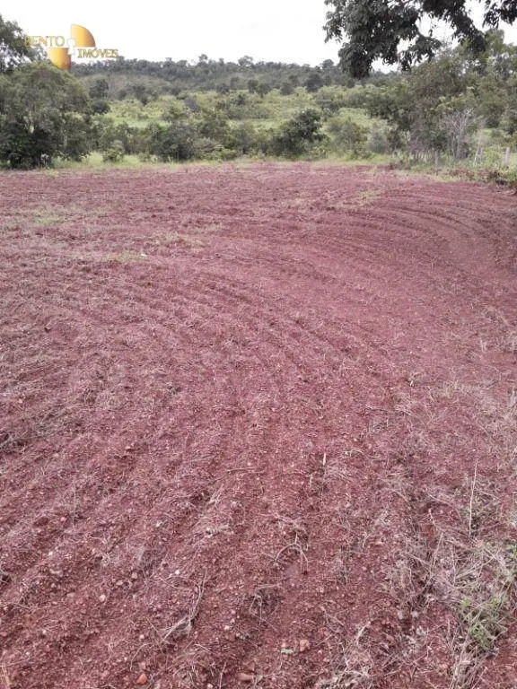 Farm for sale of 1,273 acres in Nossa Senhora do Livramento, MT, Brazil