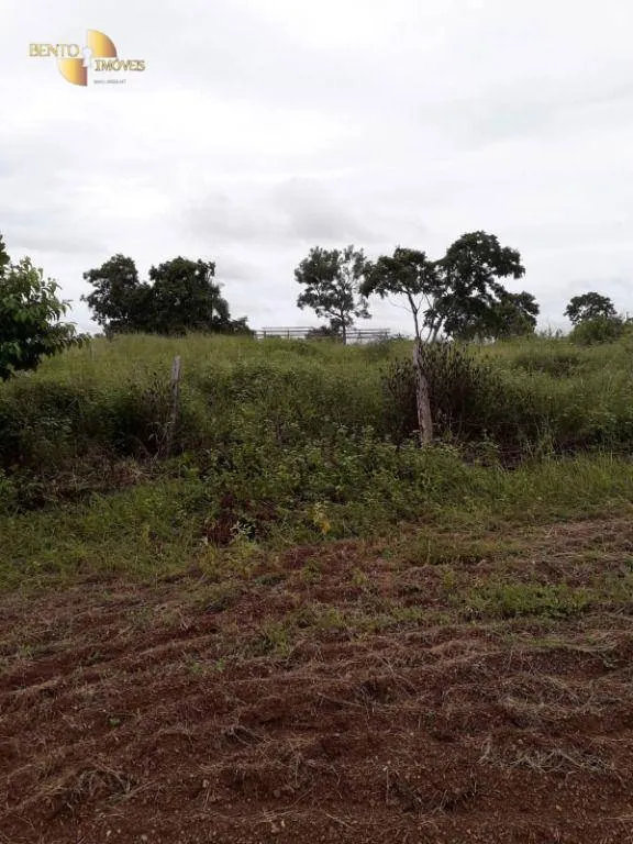 Farm for sale of 1,273 acres in Nossa Senhora do Livramento, MT, Brazil