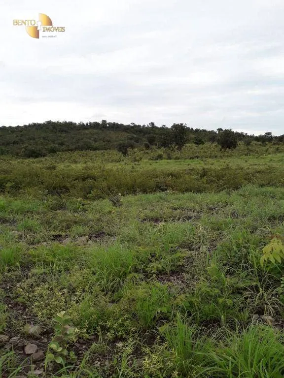 Farm for sale of 1,273 acres in Nossa Senhora do Livramento, MT, Brazil