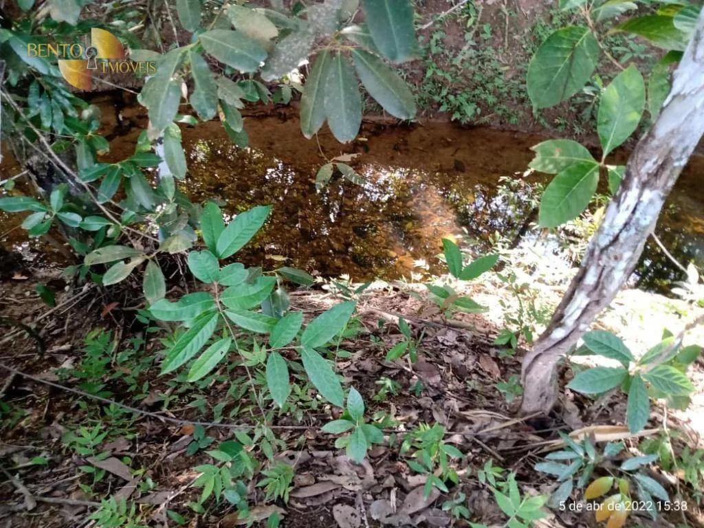 Fazenda à venda de 146 ha em Cuiabá, MT, Brasil