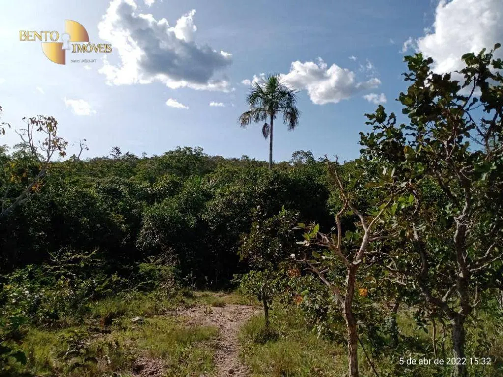 Fazenda à venda de 146 ha em Cuiabá, MT, Brasil