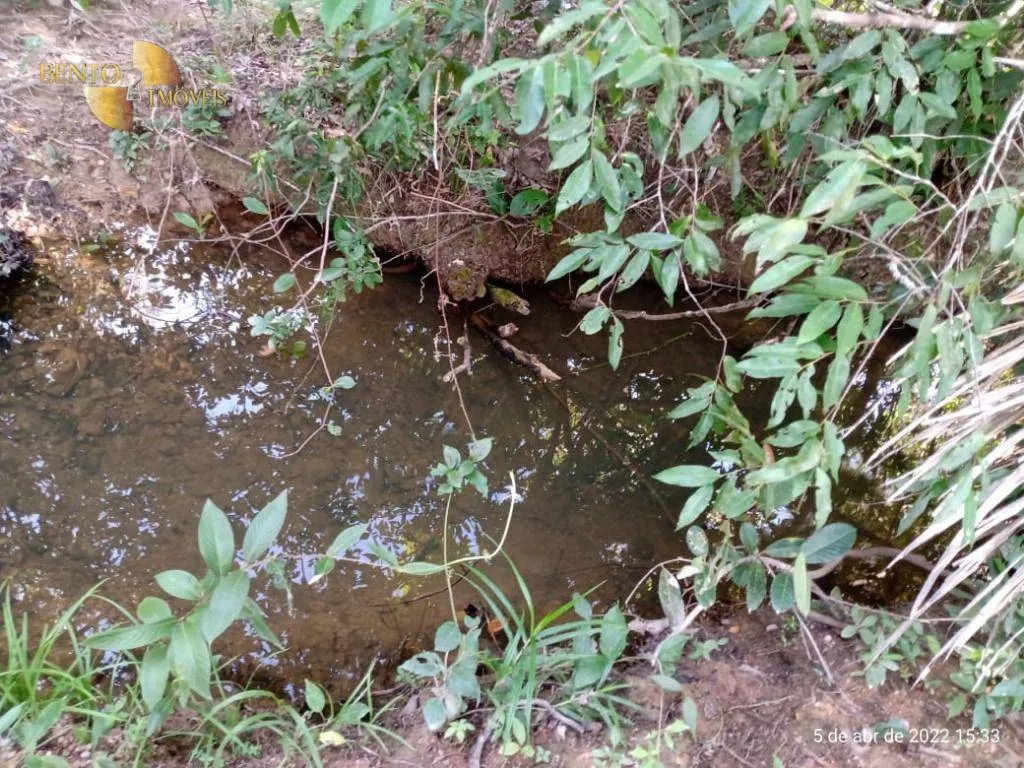 Fazenda à venda de 146 ha em Cuiabá, MT, Brasil