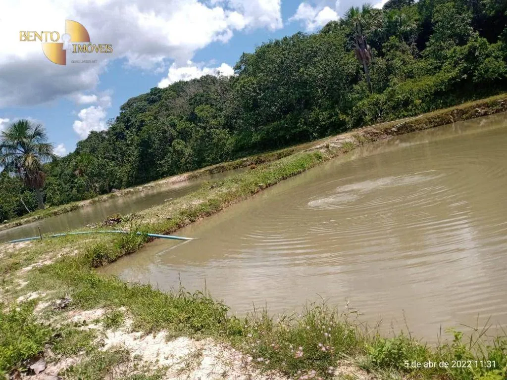 Fazenda à venda de 146 ha em Cuiabá, MT, Brasil