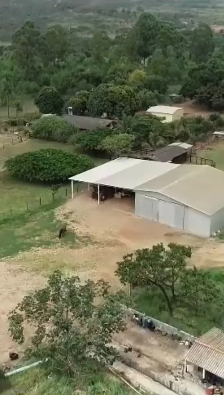 Fazenda à venda de 205 ha em Cristalina, GO, Brasil