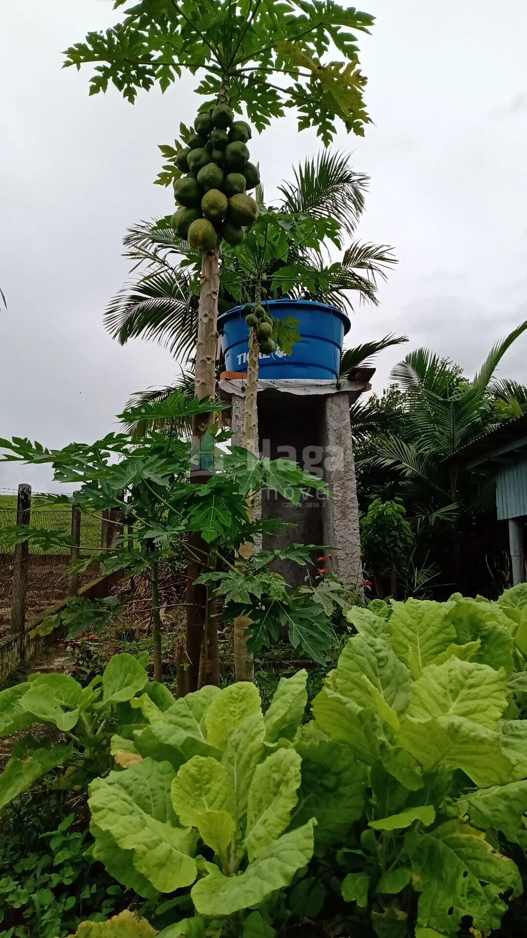 Casa à venda de 560 m² em Gaspar, SC, Brasil