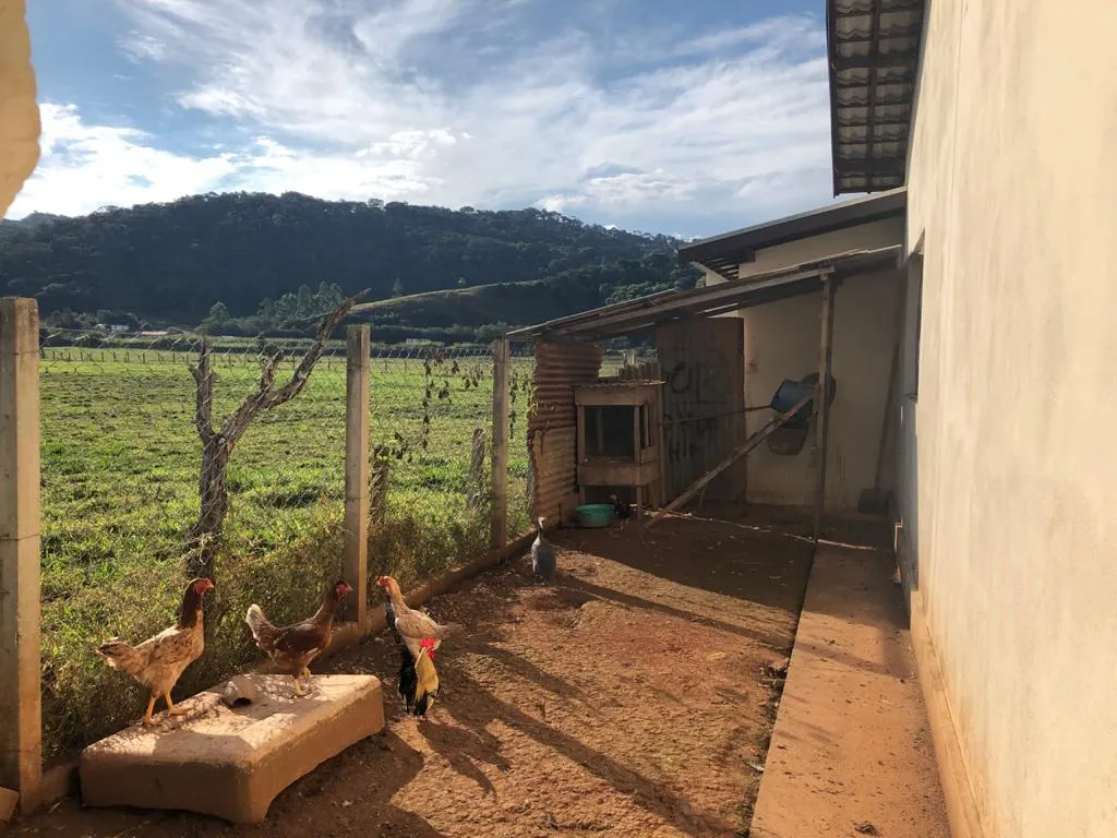 Chácara à venda de 1.650 m² em Pouso Alegre, MG, Brasil