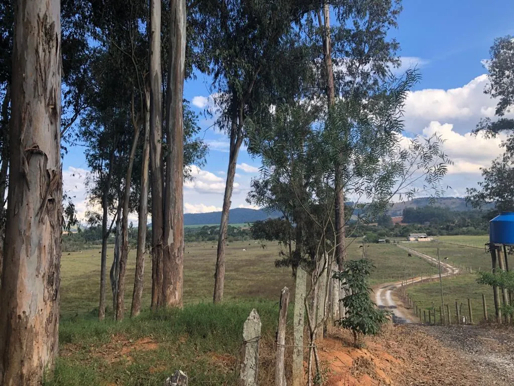 Chácara à venda de 1.650 m² em Pouso Alegre, MG, Brasil