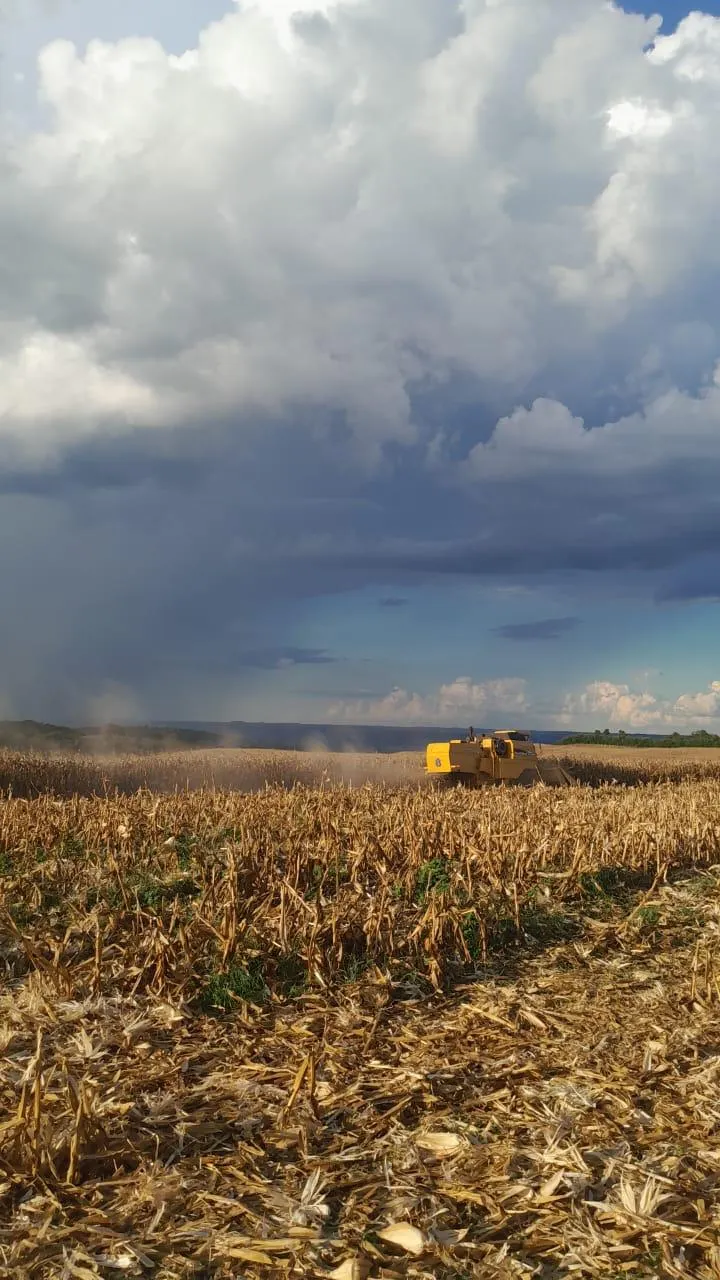 Fazenda à venda de 90 ha em Uberlândia, MG, Brasil
