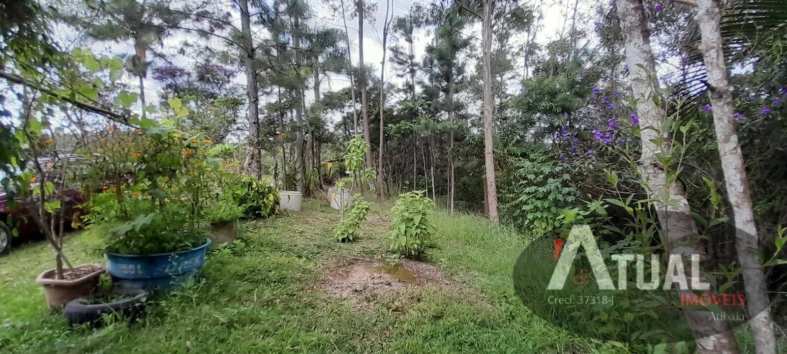 Chácara à venda de 3 ha em Mairiporã, SP, Brasil
