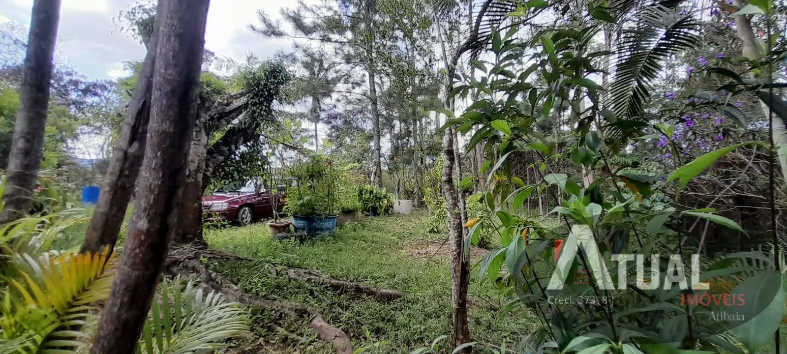 Chácara à venda de 3 ha em Mairiporã, SP, Brasil