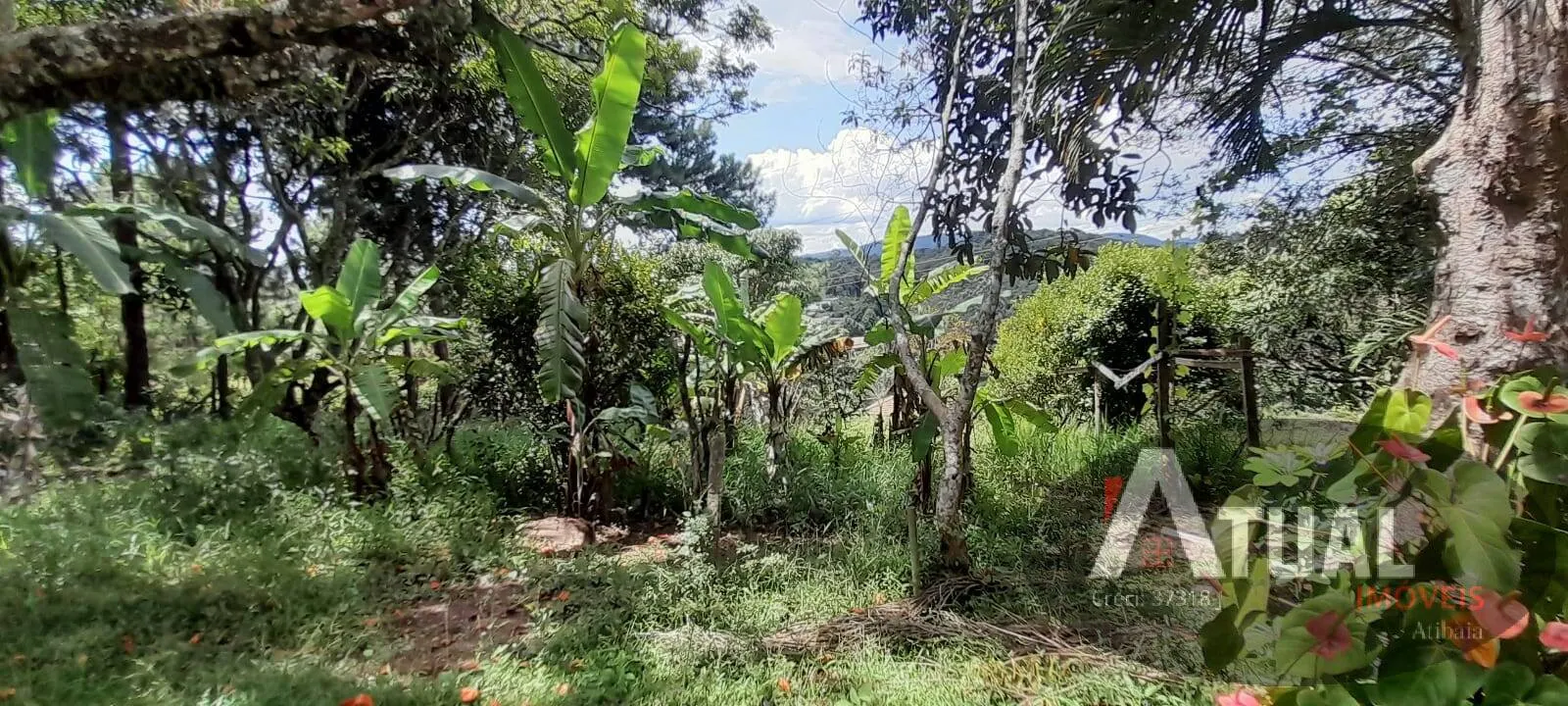Chácara à venda de 3 ha em Mairiporã, SP, Brasil
