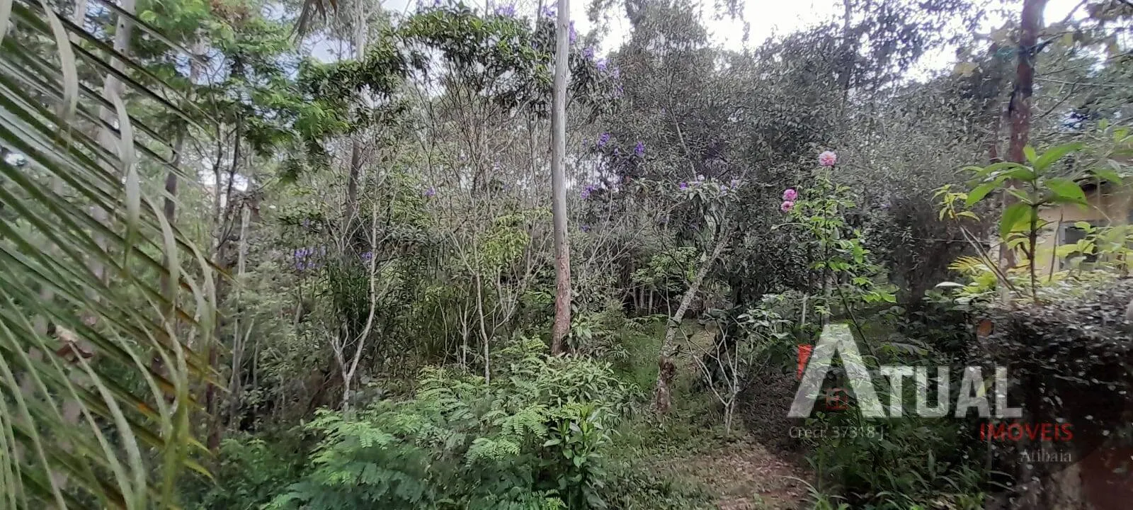 Chácara à venda de 3 ha em Mairiporã, SP, Brasil