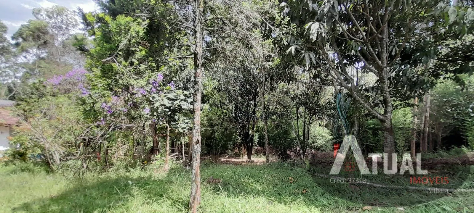 Chácara à venda de 3 ha em Mairiporã, SP, Brasil