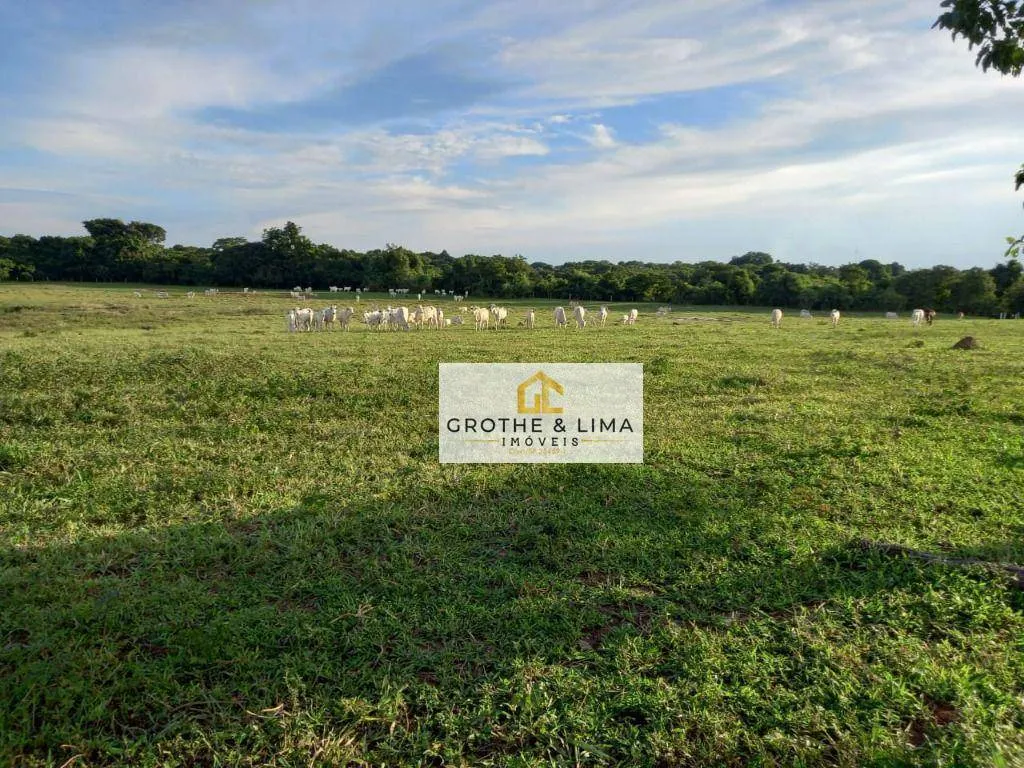 Fazenda à venda de 39.000 ha em Confresa, MT, Brasil