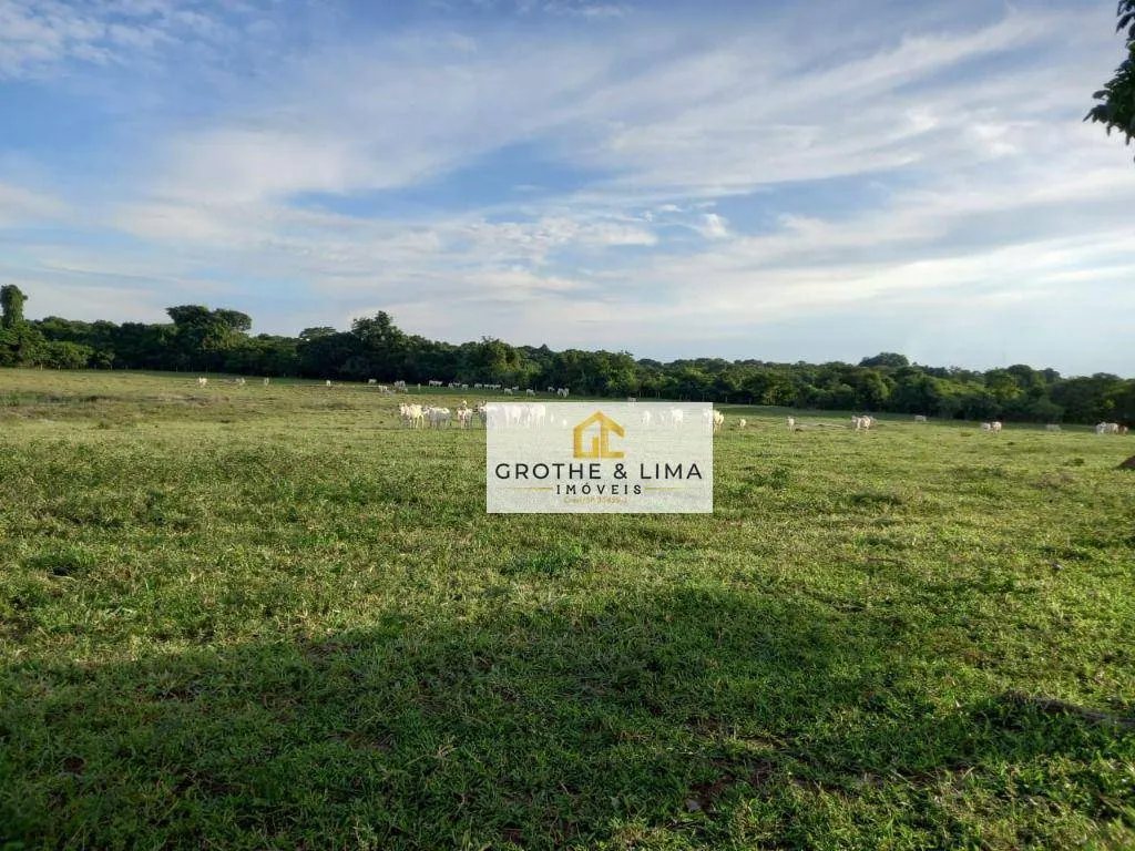 Fazenda à venda de 39.000 ha em Confresa, MT, Brasil