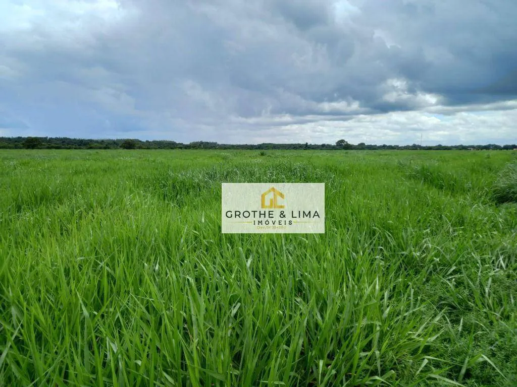 Fazenda à venda de 39.000 ha em Confresa, MT, Brasil
