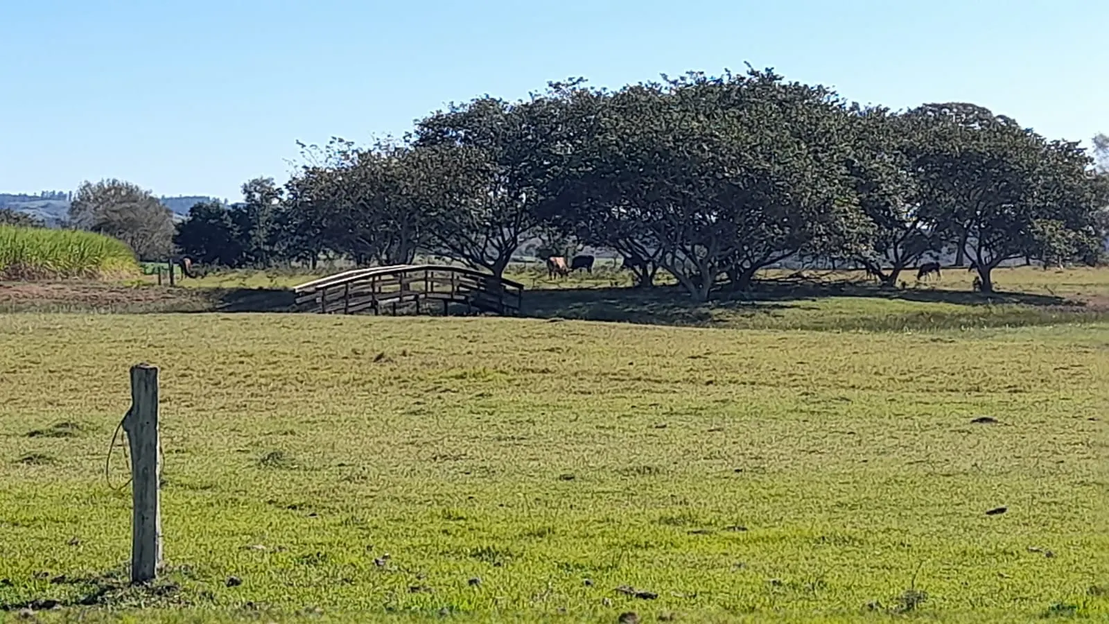 Small farm for sale of 158 acres in Itapetininga, SP, Brazil