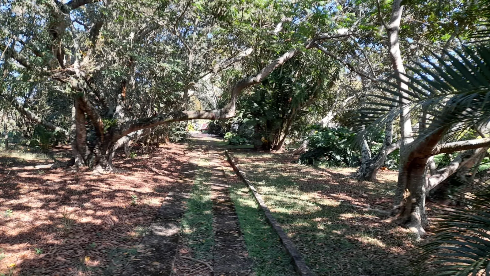 Small farm for sale of 158 acres in Itapetininga, SP, Brazil