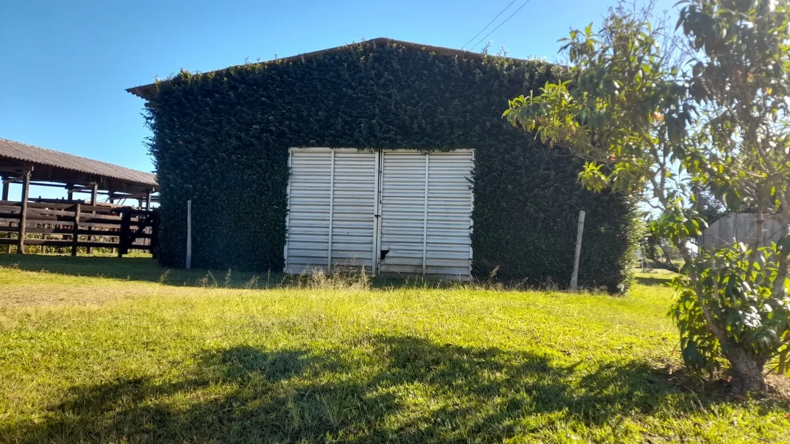 Small farm for sale of 158 acres in Itapetininga, SP, Brazil