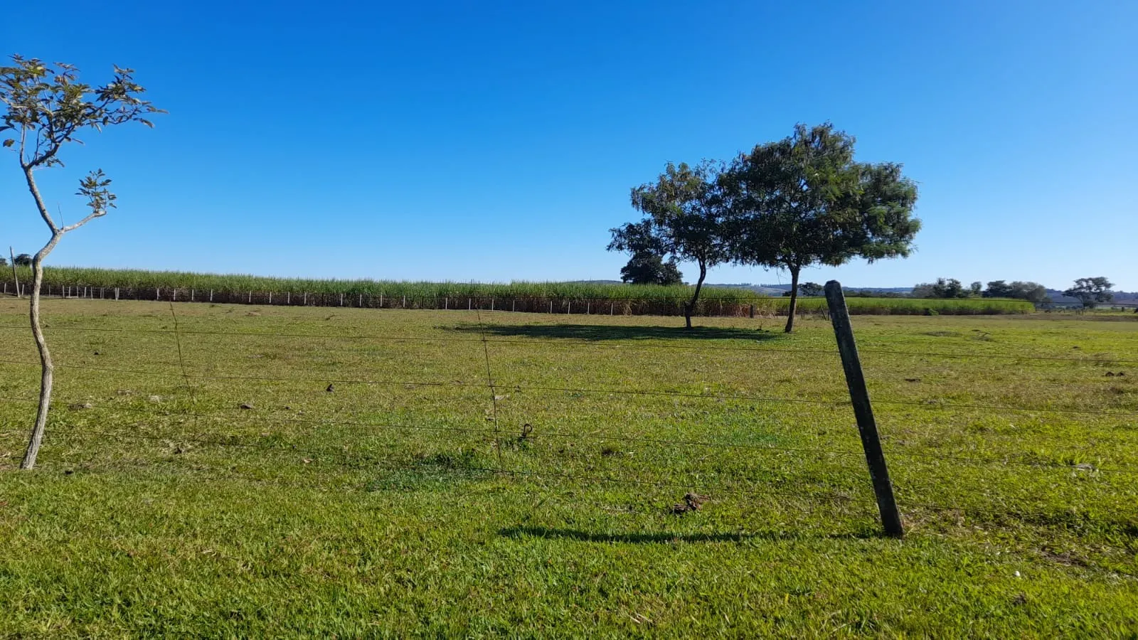 Small farm for sale of 158 acres in Itapetininga, SP, Brazil